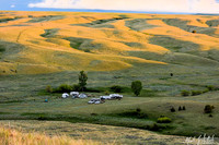 2015-05-23 Memorial Day Branding & Camping Extravaganza